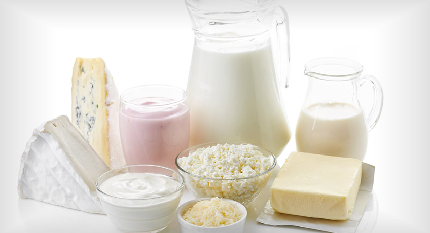 Dairy Products: milk, cheese kefir, yogurt