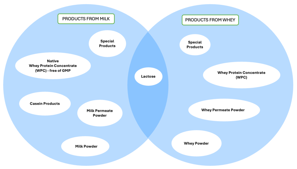 Diagram showing milk and whey ingredients in English language.